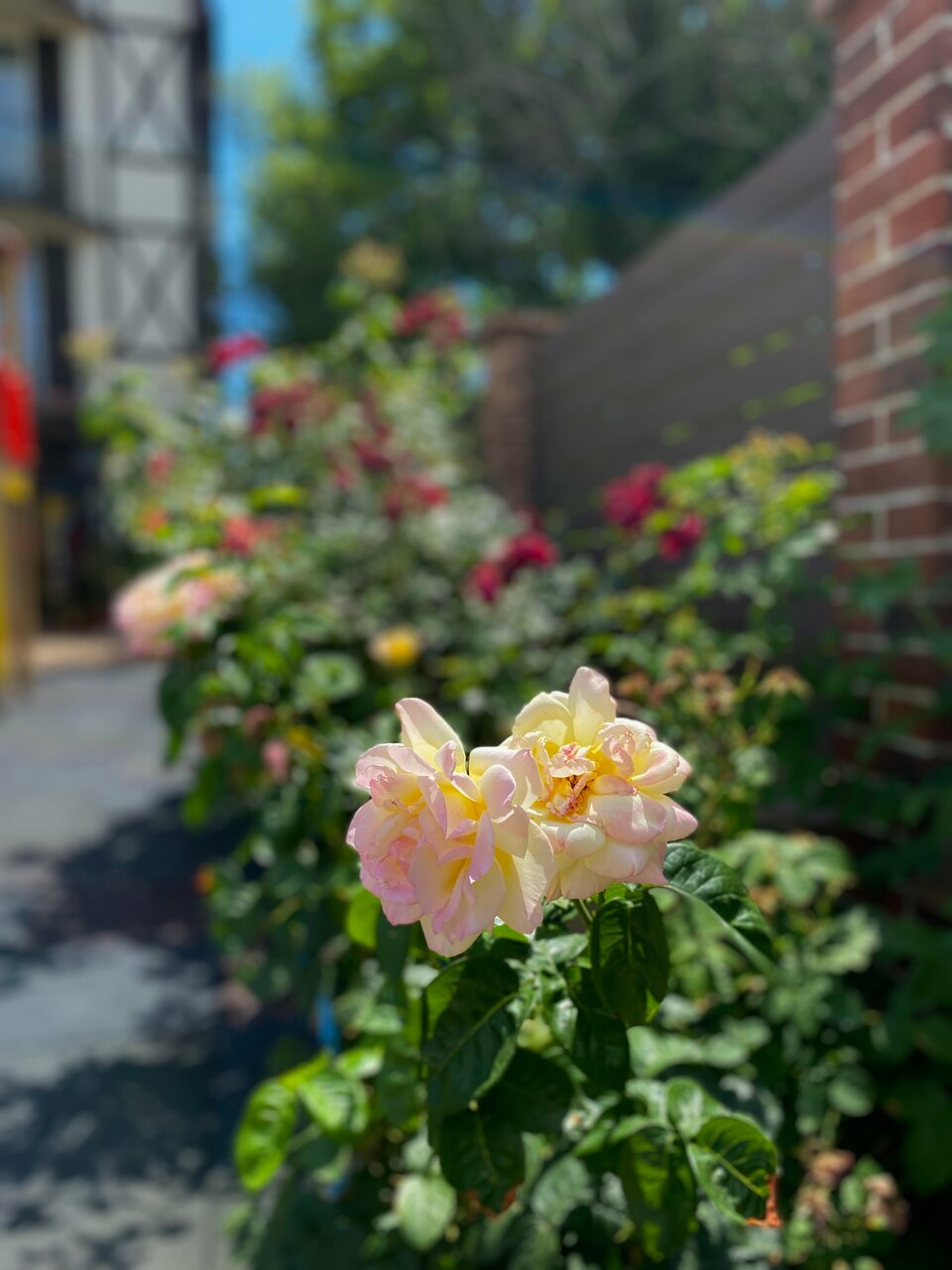 Гостевой дом H2O Геленджик-169