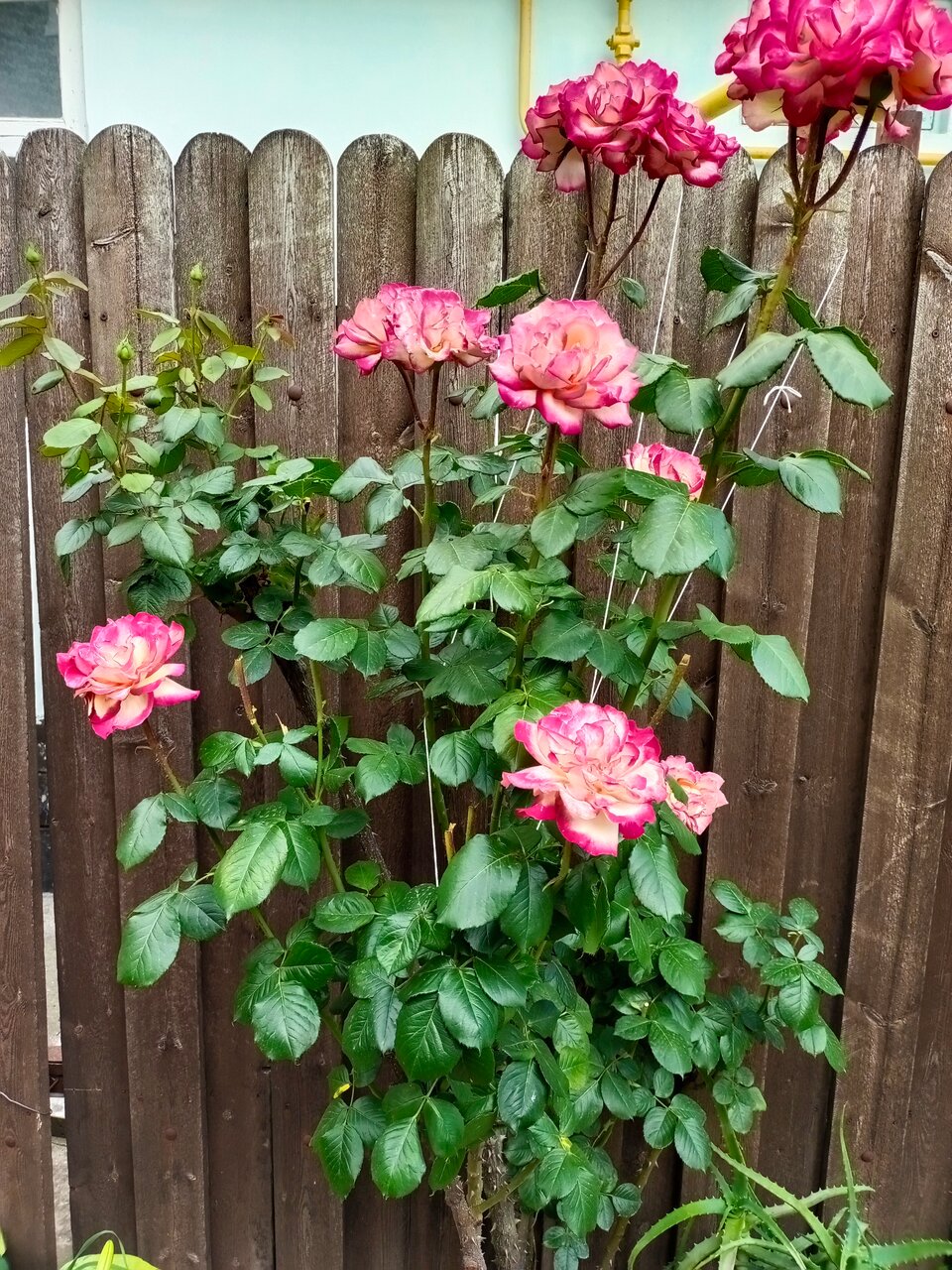 Гостевой дом H2O Геленджик-128