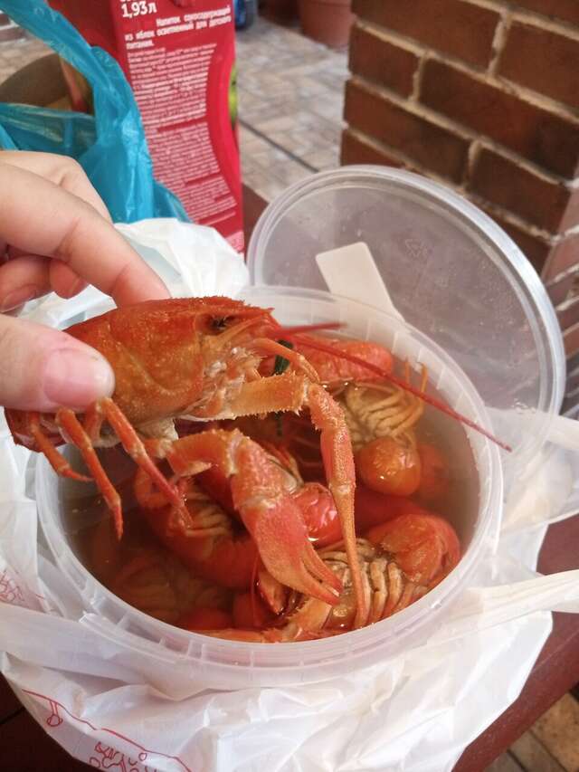 Гостевой дом H2O Геленджик-218