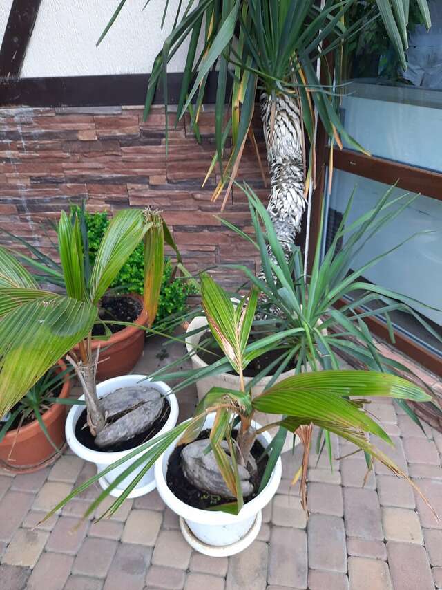 Гостевой дом H2O Геленджик-175