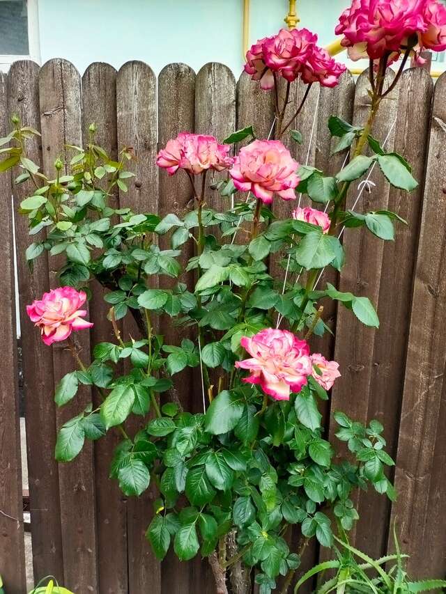 Гостевой дом H2O Геленджик-127